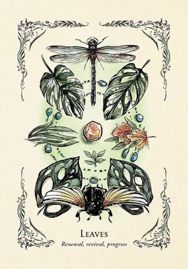 The Green Witch's Oracle Deck - Image 3