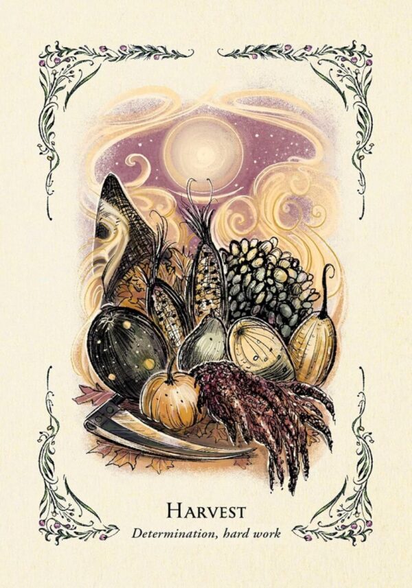 The Green Witch's Oracle Deck - Image 4